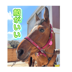 Chie_20250730071613