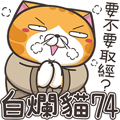 白爛貓74☆佛系爛☆