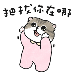 奶油小生要找爸爸(虎斑貓)粉