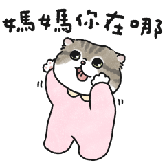 奶油小生要找媽媽(虎斑貓)粉