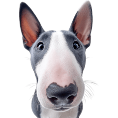 ❤️ น้องหมา ❤️ น่ารัก (Big)