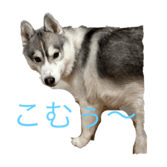 h_20250731162504