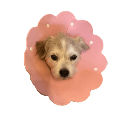 minachan_20250731163419