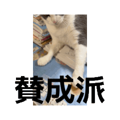 kk_20250731173738