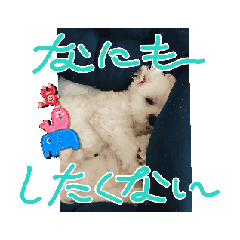 natsumi_20250731184403
