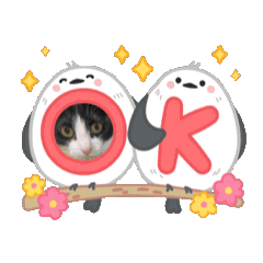 solar&mille