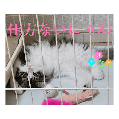 nina_20250731235445
