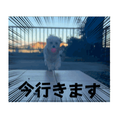 mimi_20250801015727