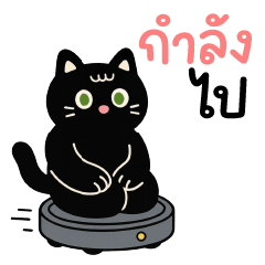 บิ๊ก แบล็ค ❤️ แมวน่ารัก