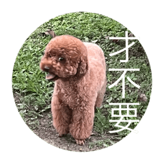 娜娜寶貝可愛鬼