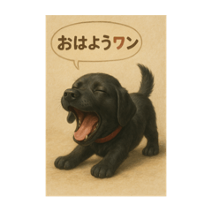 HACHI_20250731123352