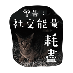 FengTian the Lihua Cat ver.2