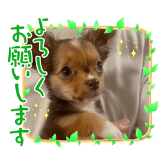 Eriko_20250731173346