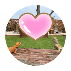 sakura_20250731175104