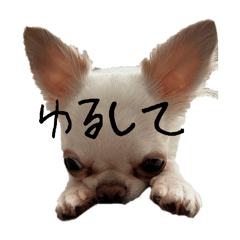 yamada_20250731174718