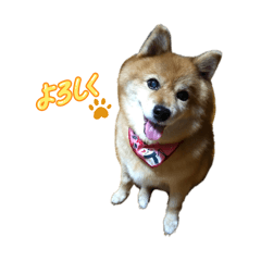 Ayu_20250731134212
