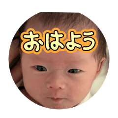 yukari_20250731133438