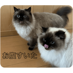 yumi_20250731135314