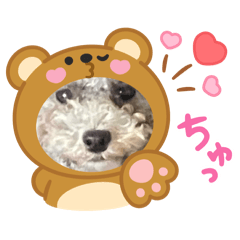 HIKARI_20250731190809