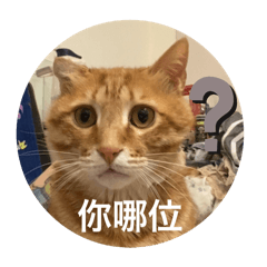 帕瑪森（阿帕～～）