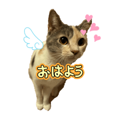 mizuki_20250731194352