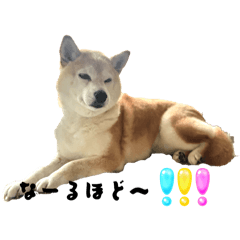 tonton_20250731150739