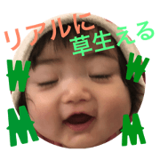 AMOOriginal2