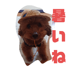 takumi_20250731204444