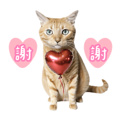 肉吉醬初登場٩(˃̶͈̀௰˂̶͈́)و♪