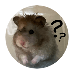 吃貨三大福　QQ 桃桃 小九