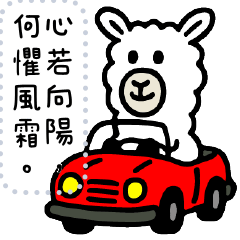 吃可愛長大的羊駝 第二彈