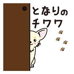 となりのチワワ〜チワワの日常〜