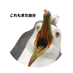 M_20250729221439