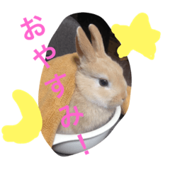 うさぎのまるた4