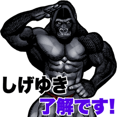 Shigeyuki dedicated macho gorilla