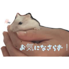 Rili_20250731213210