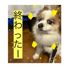 TokaJoy useful stamp2