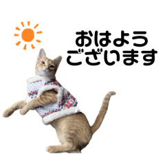 marina_20250731214517