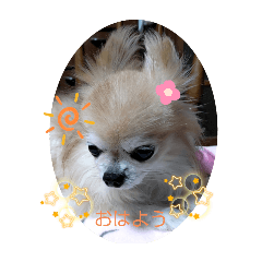 kazumi_20250731172111