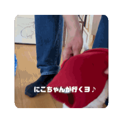 Nicole_20250731170327