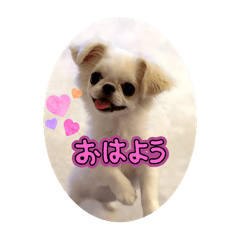 kasumi_20250731183550