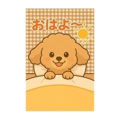 cocoa_20250731234243