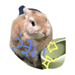 うさぎのまるた3