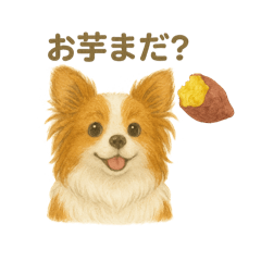 maple_20250731201629