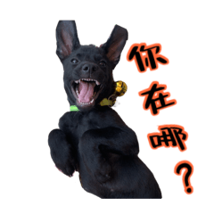 傻蛋小嘎