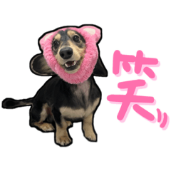 林摳摳日常