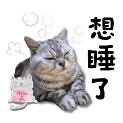 滾蛋日子好囡過-2-