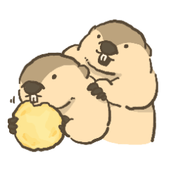 いつでも！マーモット2