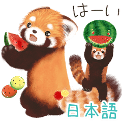 Pohe the Red Panda / Friends Daily / JP