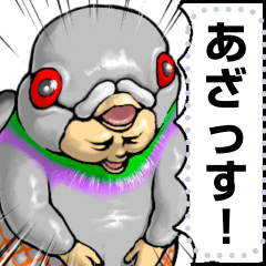 はとぐるみ_massage_α